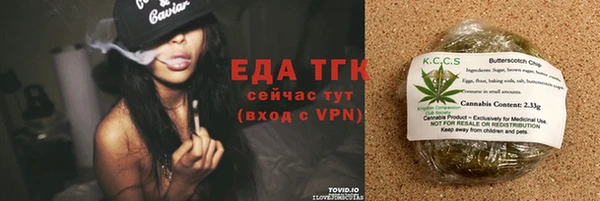 амф Верхний Тагил