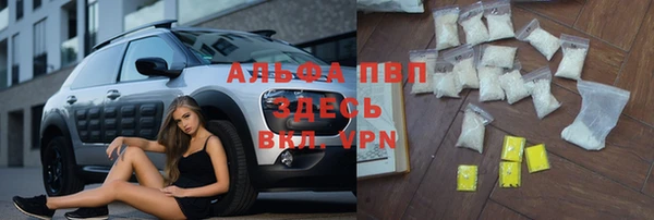 амф Верхний Тагил