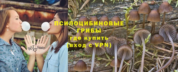 амф Верхний Тагил