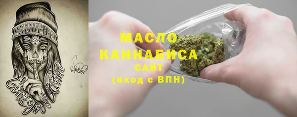 амф Верхний Тагил
