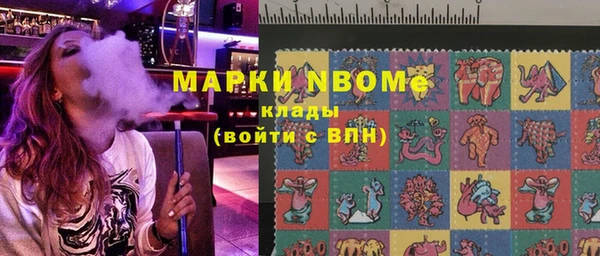 амф Верхний Тагил