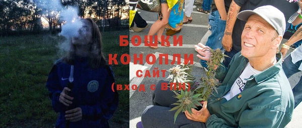 амф Верхний Тагил