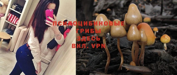 бошки Верея