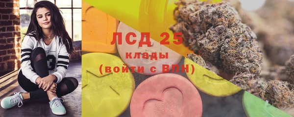 амф Верхний Тагил