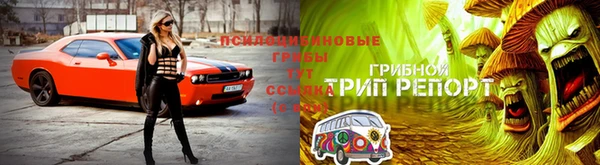 амф Верхний Тагил