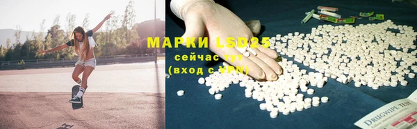амф Верхний Тагил