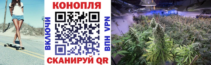 Купить где  Судак  Марихуана гибрид 